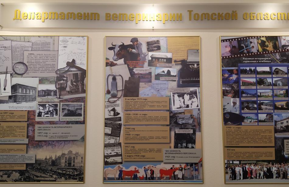 Популяризация  первой помощи при  неотложных  состояний  в виде практического занятия в Департаменте ветеринарии Томской области